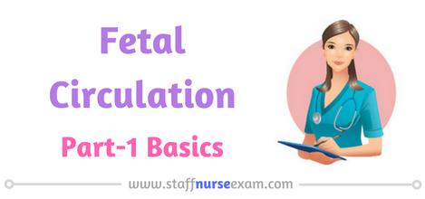 Fetal Circulation - Part-1 - Basics